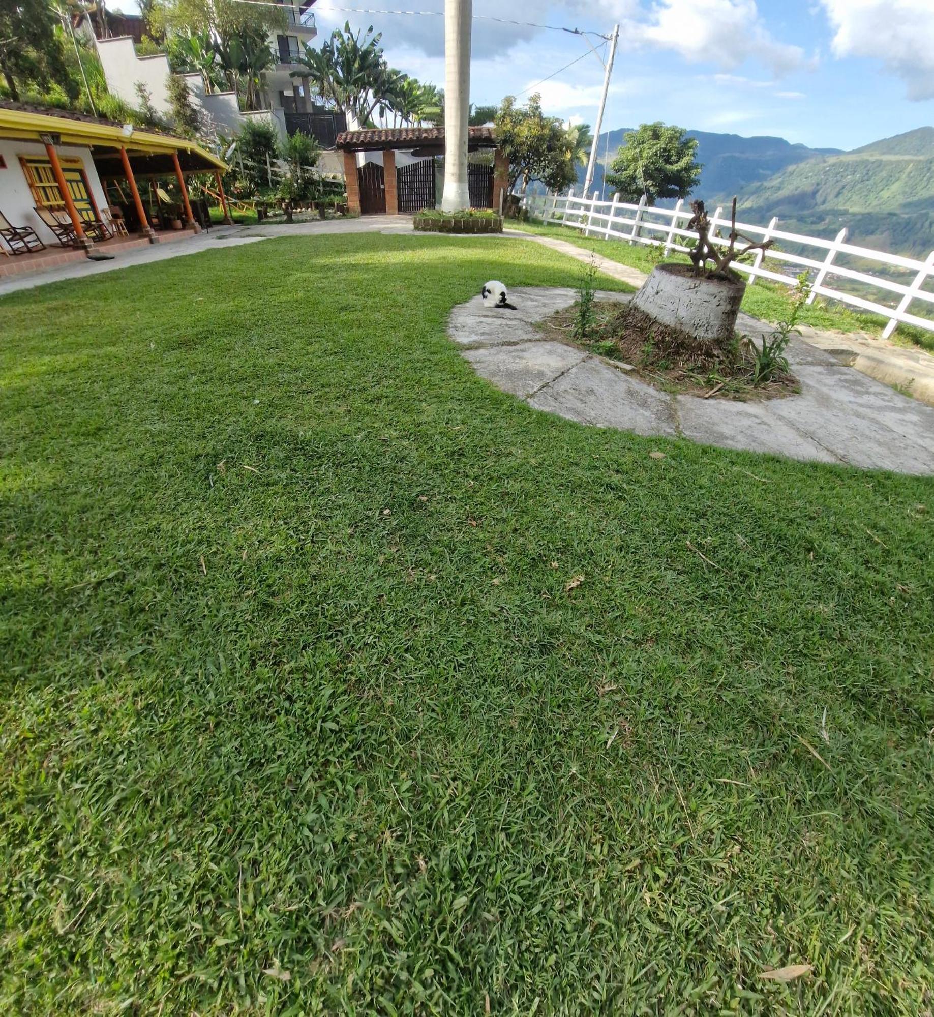 Juanes * Jardin